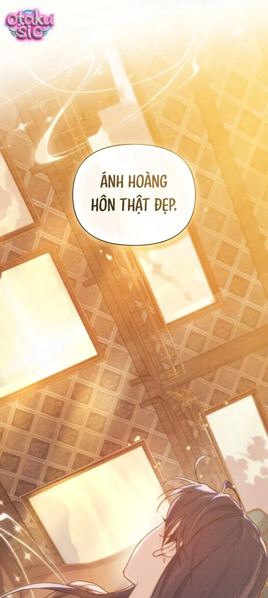 Hồ Điệp Nuốt Chửng Sương Mù Chapter 35 - 55