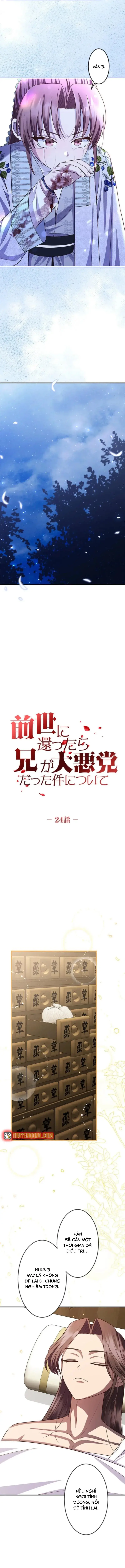 Trùng Sinh Về Kiếp Trước, Ta Phát Hiện Anh Trai Là Kẻ Đại Ác Nhân Chapter 24 - 5