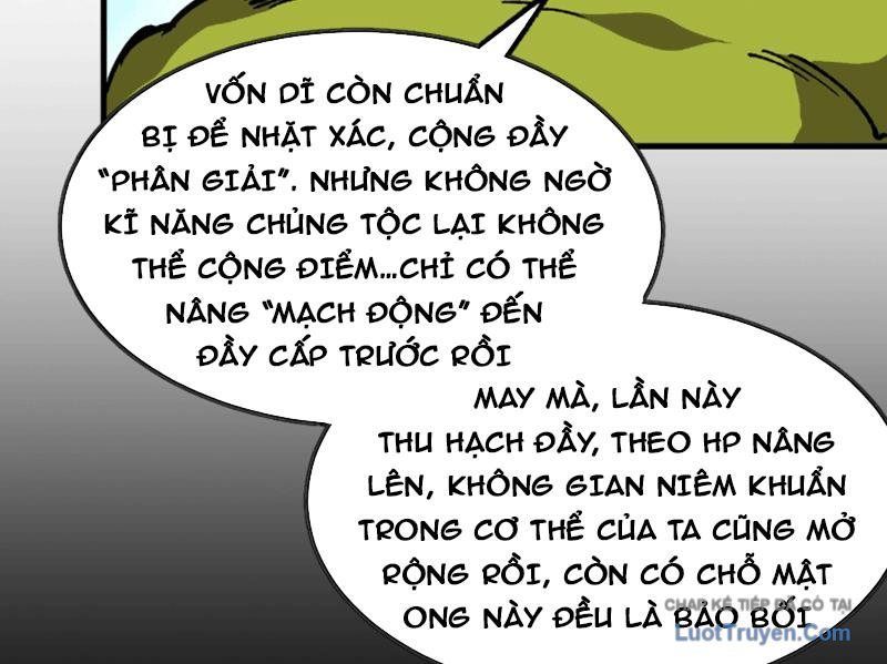Bắt Đầu Từ Việc Trùng Sinh Thành Niêm Khuẩn Chapter 11 - 11