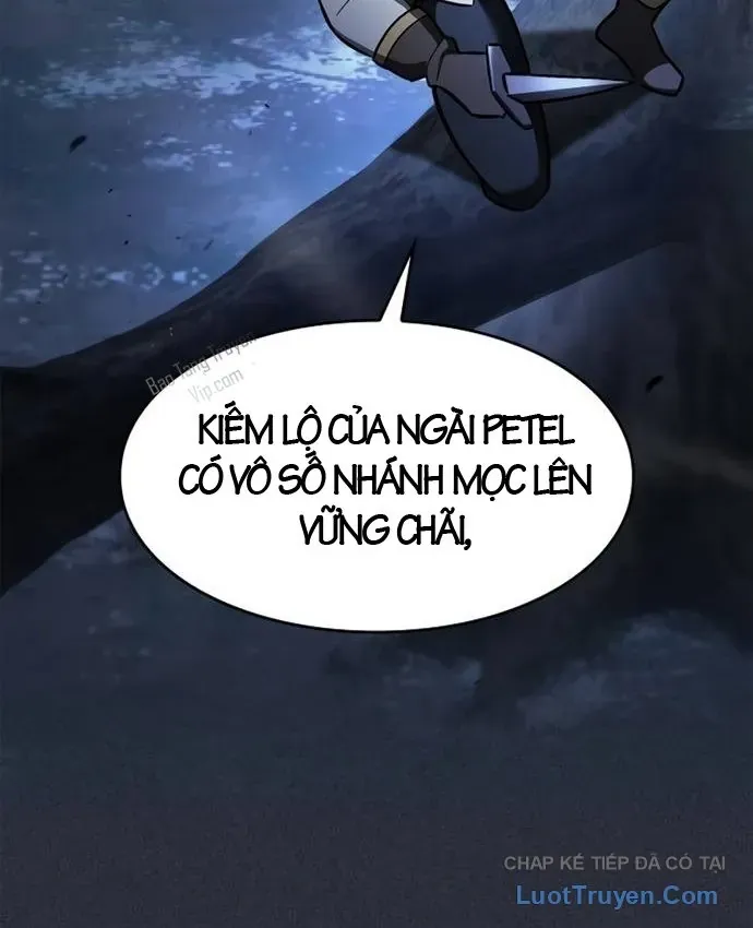 Kiếm Sư Thực Kiếm Chapter 25 - 78