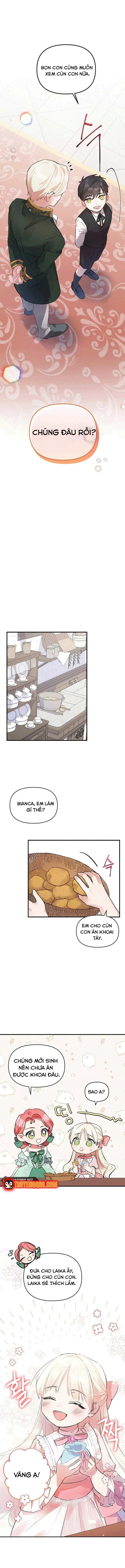 Đừng Thuần Hóa Cô Nàng Đanh Đá Chapter 1 - 9