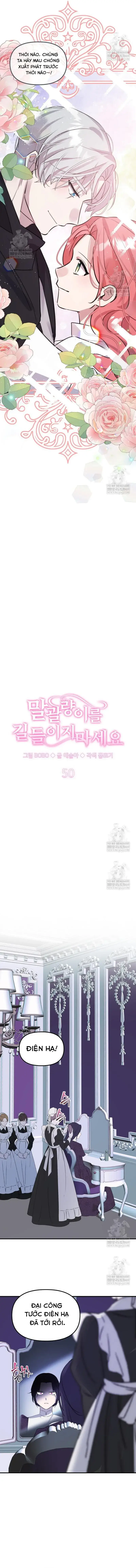 Đừng Thuần Hóa Cô Nàng Đanh Đá Chapter 50 - 11