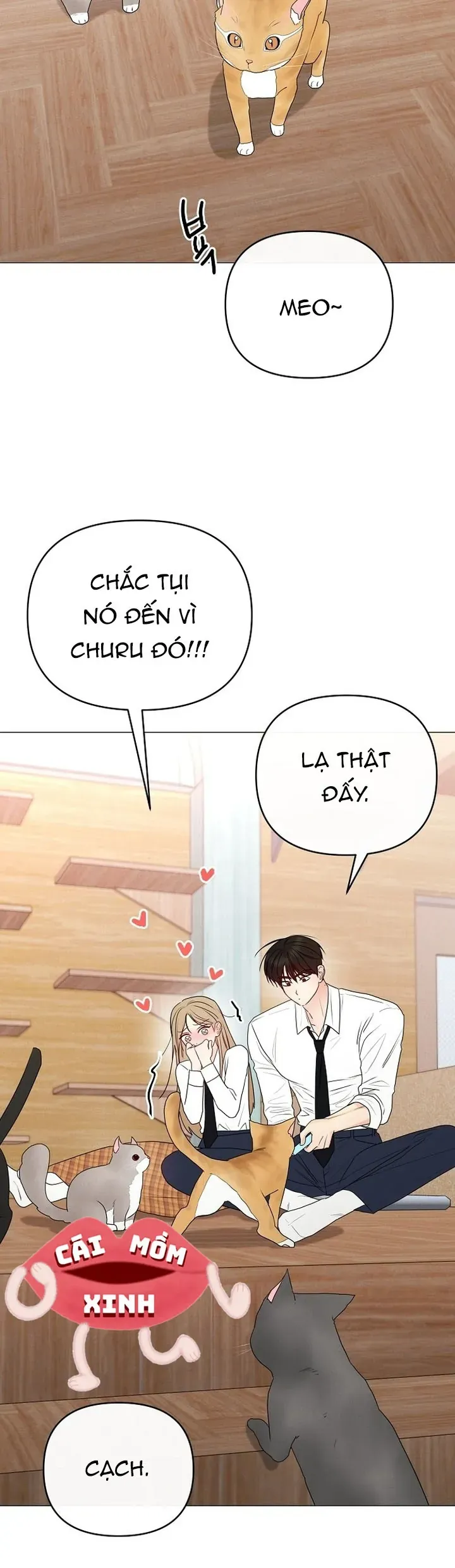 Soái Ca Kiểu Mẫu Chapter 48 - 50