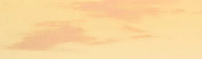 Nữ Tướng Quân Trọng Sinh Chapter 15 - 14