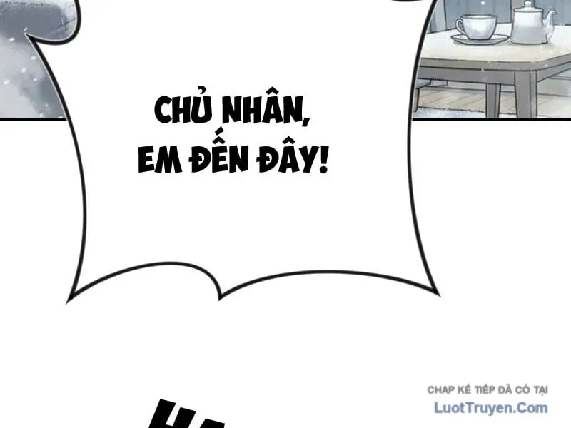 Toàn Cầu Băng Phong : Thu Nhận Hầu Gái, Bắt Đầu Từ Cô Vợ Kiêu Ngạo Nhà Bên Chapter 21 - 50