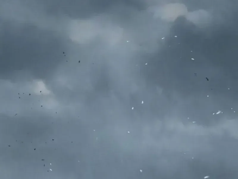 Toàn Cầu Băng Phong : Thu Nhận Hầu Gái, Bắt Đầu Từ Cô Vợ Kiêu Ngạo Nhà Bên Chapter 23 - 20