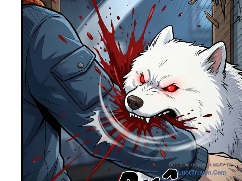 Toàn Cầu Băng Phong : Thu Nhận Hầu Gái, Bắt Đầu Từ Cô Vợ Kiêu Ngạo Nhà Bên Chapter 57 - 56