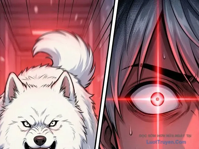 Toàn Cầu Băng Phong : Thu Nhận Hầu Gái, Bắt Đầu Từ Cô Vợ Kiêu Ngạo Nhà Bên Chapter 58 - 62