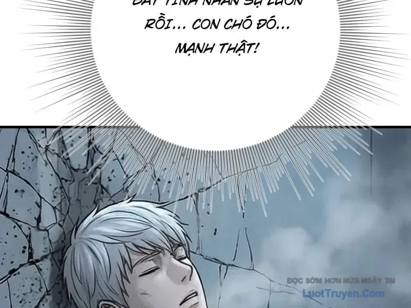 Toàn Cầu Băng Phong : Thu Nhận Hầu Gái, Bắt Đầu Từ Cô Vợ Kiêu Ngạo Nhà Bên Chapter 59 - 24