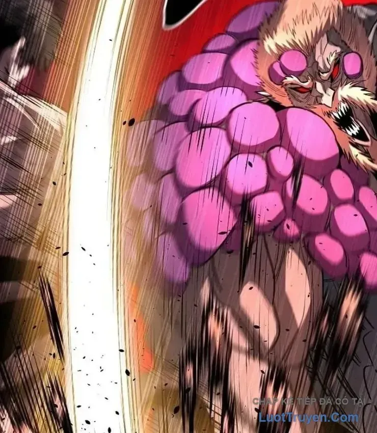 Vòng Chơi Thứ Hai Của Chiến Binh Cuồng Nộ Chapter 23 - 72