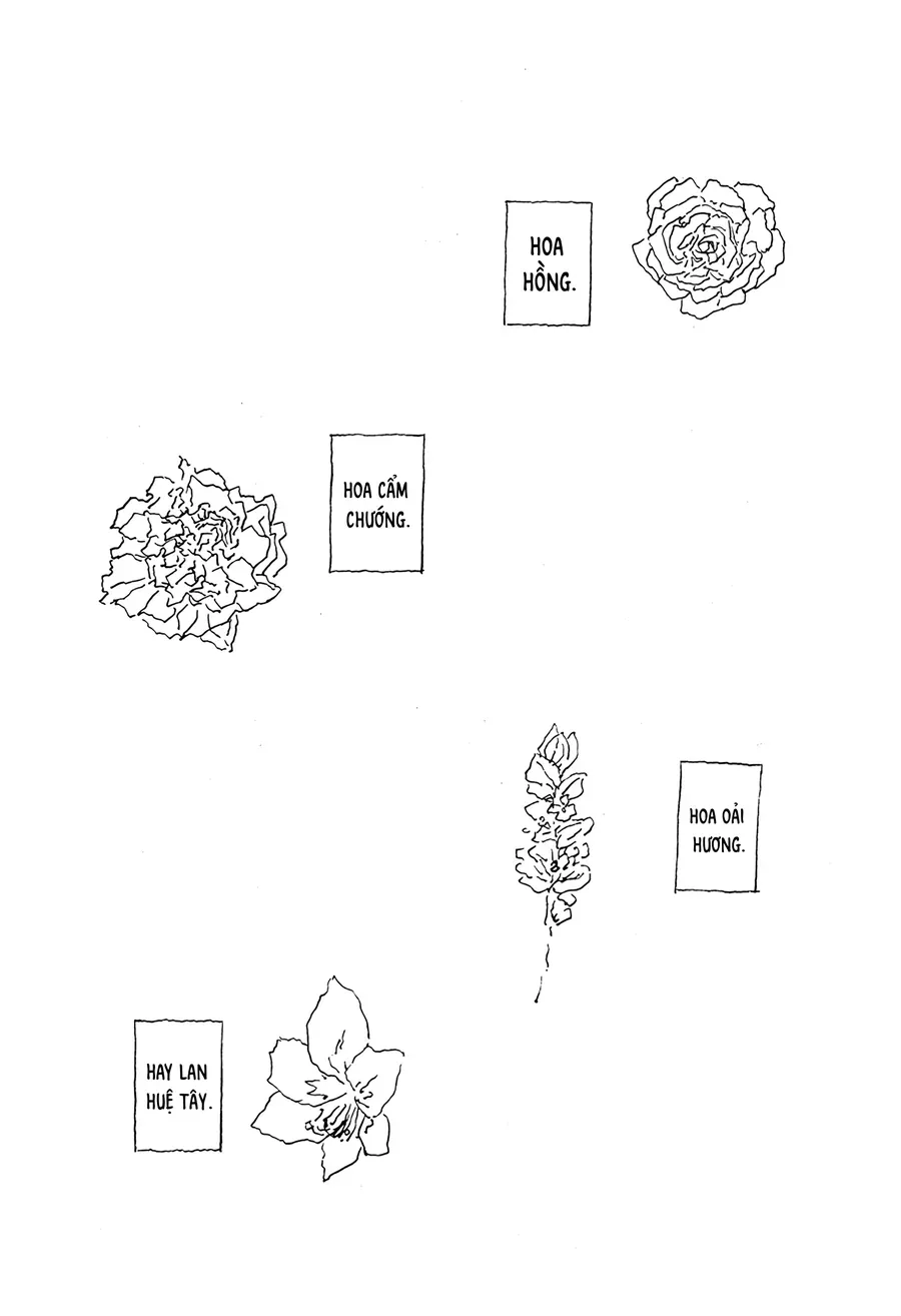 .A: dot Alice Chapter 15 - 12