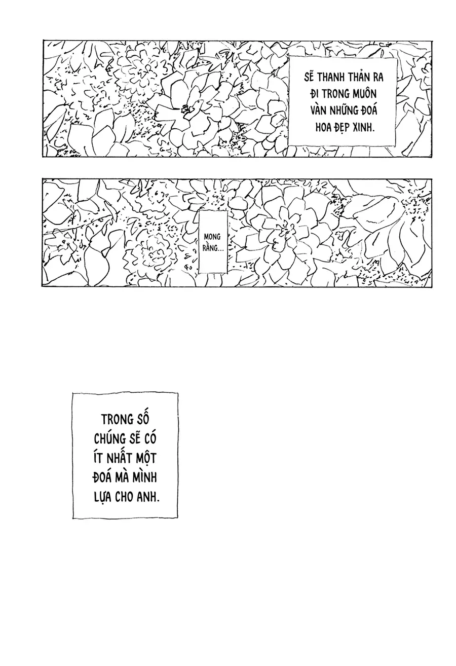 .A: dot Alice Chapter 15 - 22