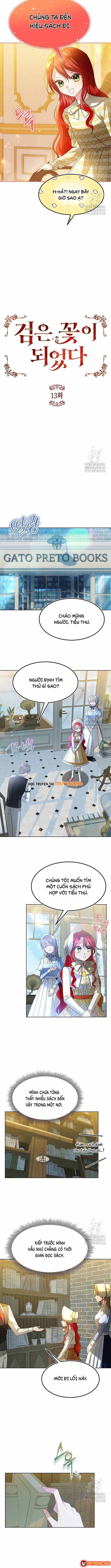 Ta Đã Hóa Thành Hắc Hoa Chapter 13 - 3
