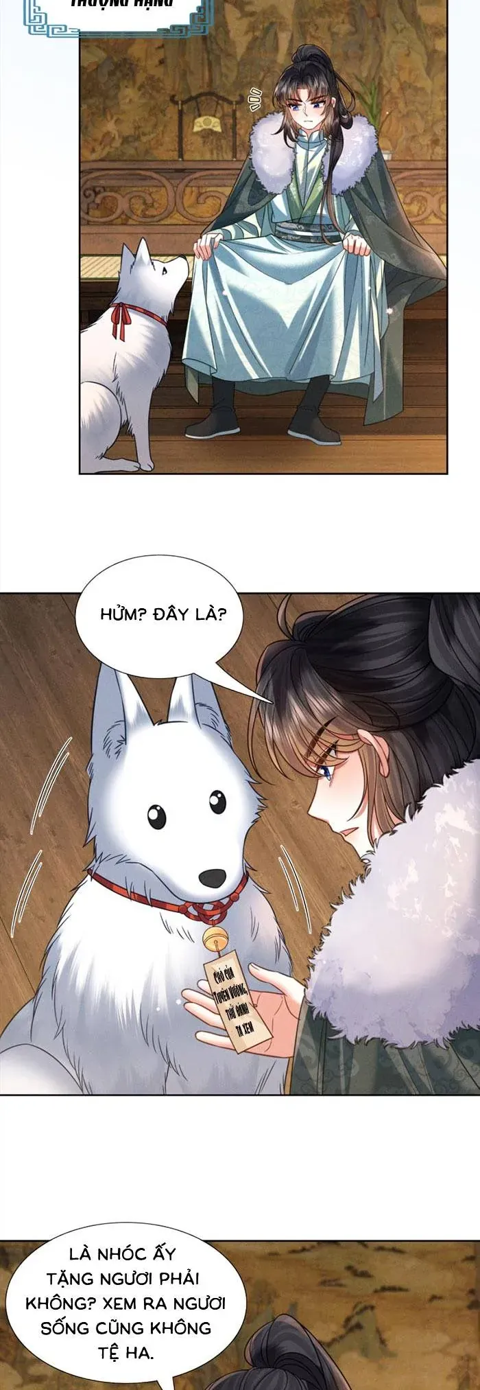 Tiểu Gia Chủ Tám Tuổi Gánh Cả Gia Tộc Chapter 33 - 7