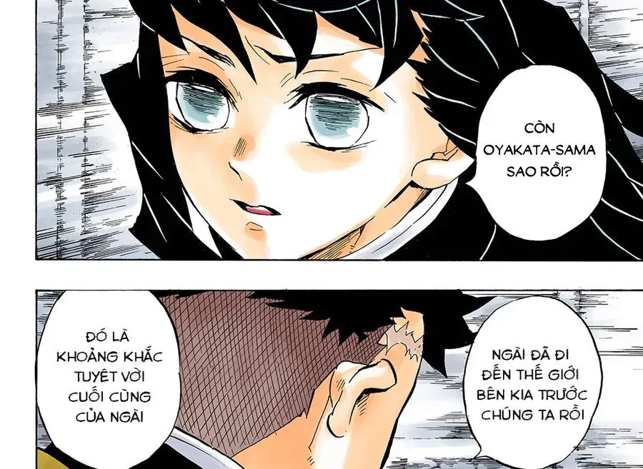 Thanh Gươm Diệt Quỷ (Truyện Màu) Chapter 140 - 19