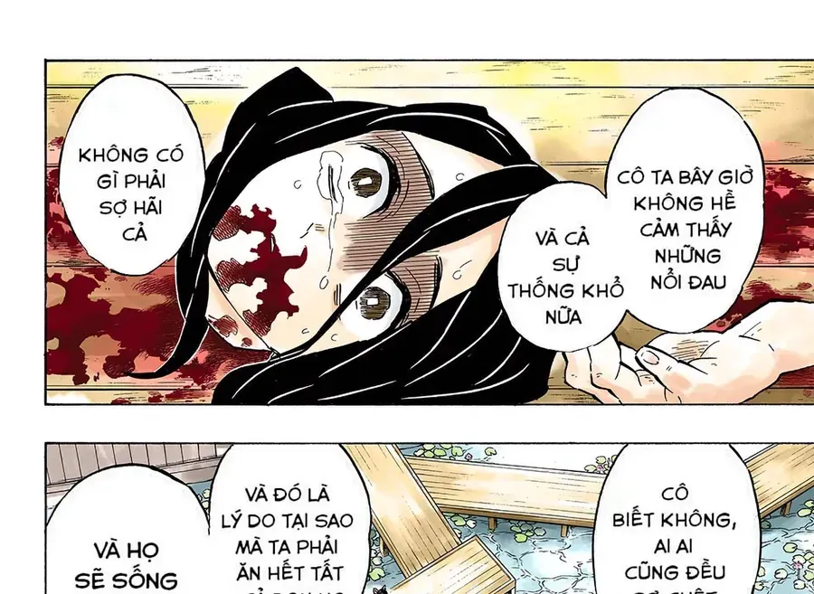 Thanh Gươm Diệt Quỷ (Truyện Màu) Chapter 141 - 19