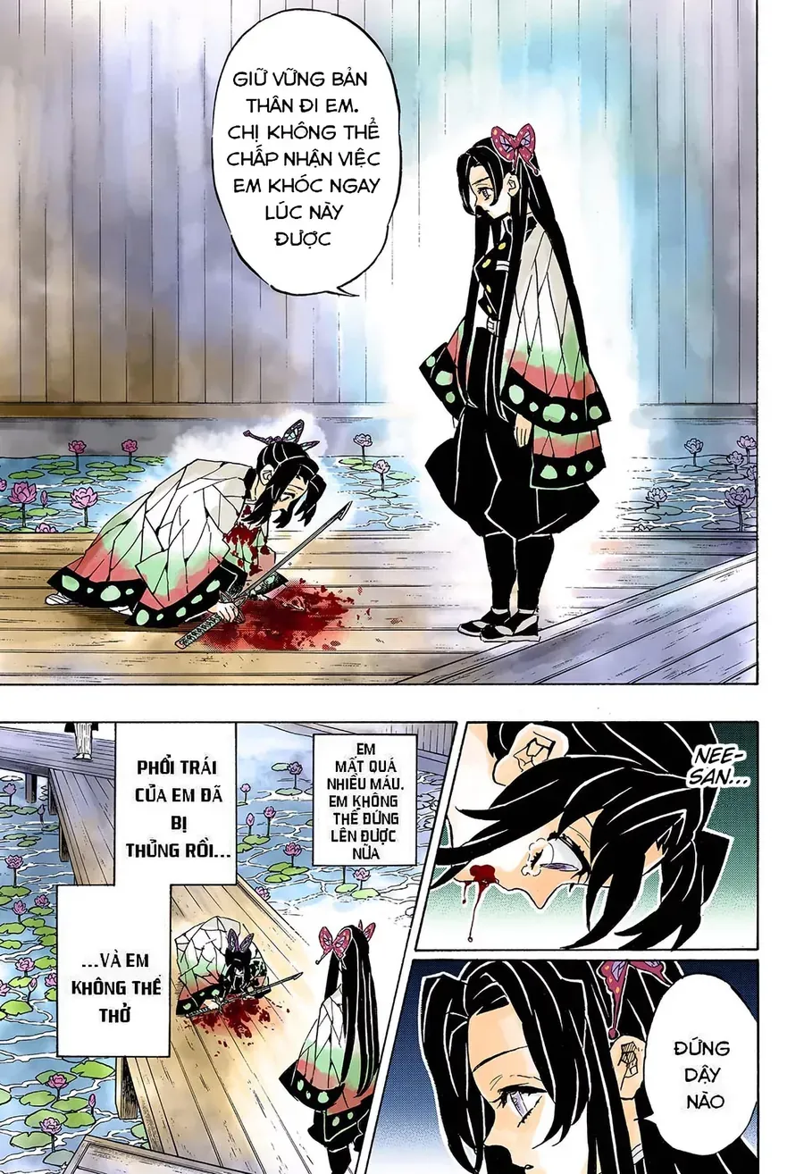 Thanh Gươm Diệt Quỷ (Truyện Màu) Chapter 142 - 11