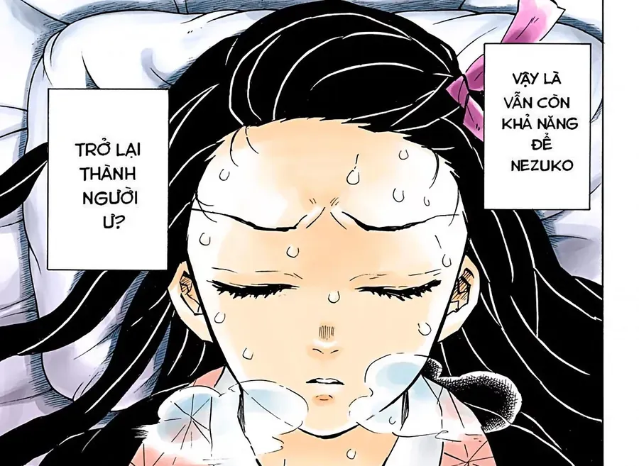 Thanh Gươm Diệt Quỷ (Truyện Màu) Chapter 147 - 11