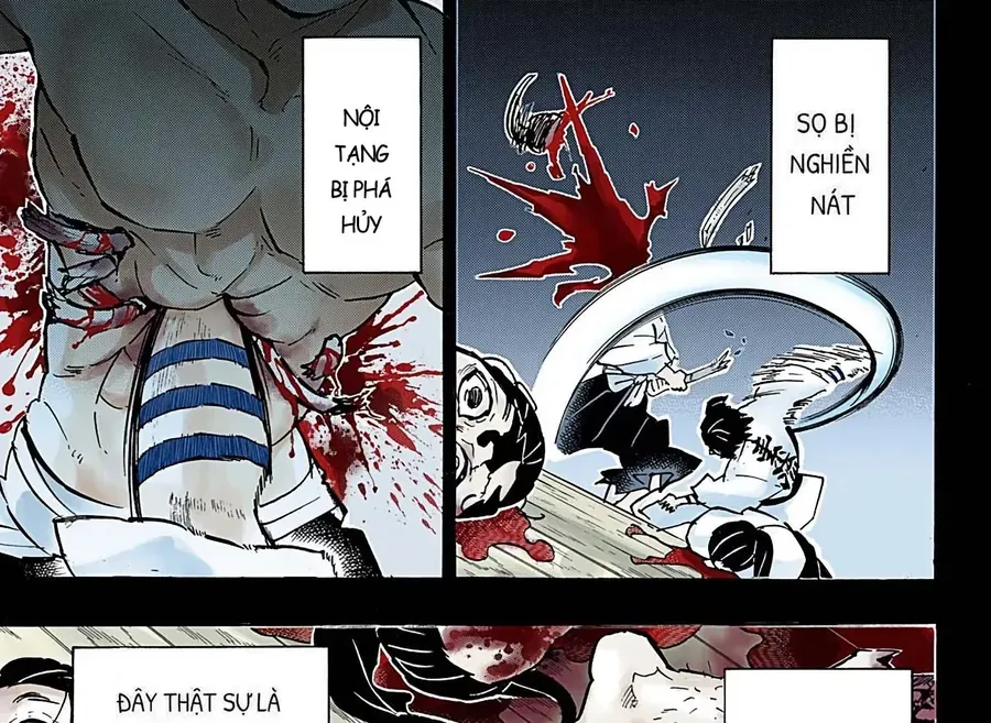 Thanh Gươm Diệt Quỷ (Truyện Màu) Chapter 155 - 29