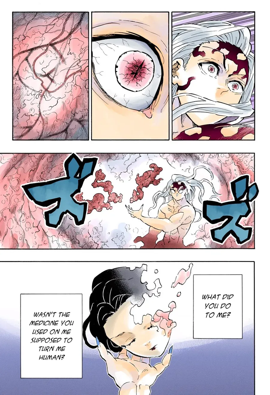 Thanh Gươm Diệt Quỷ (Truyện Màu) Chapter 193 - 20