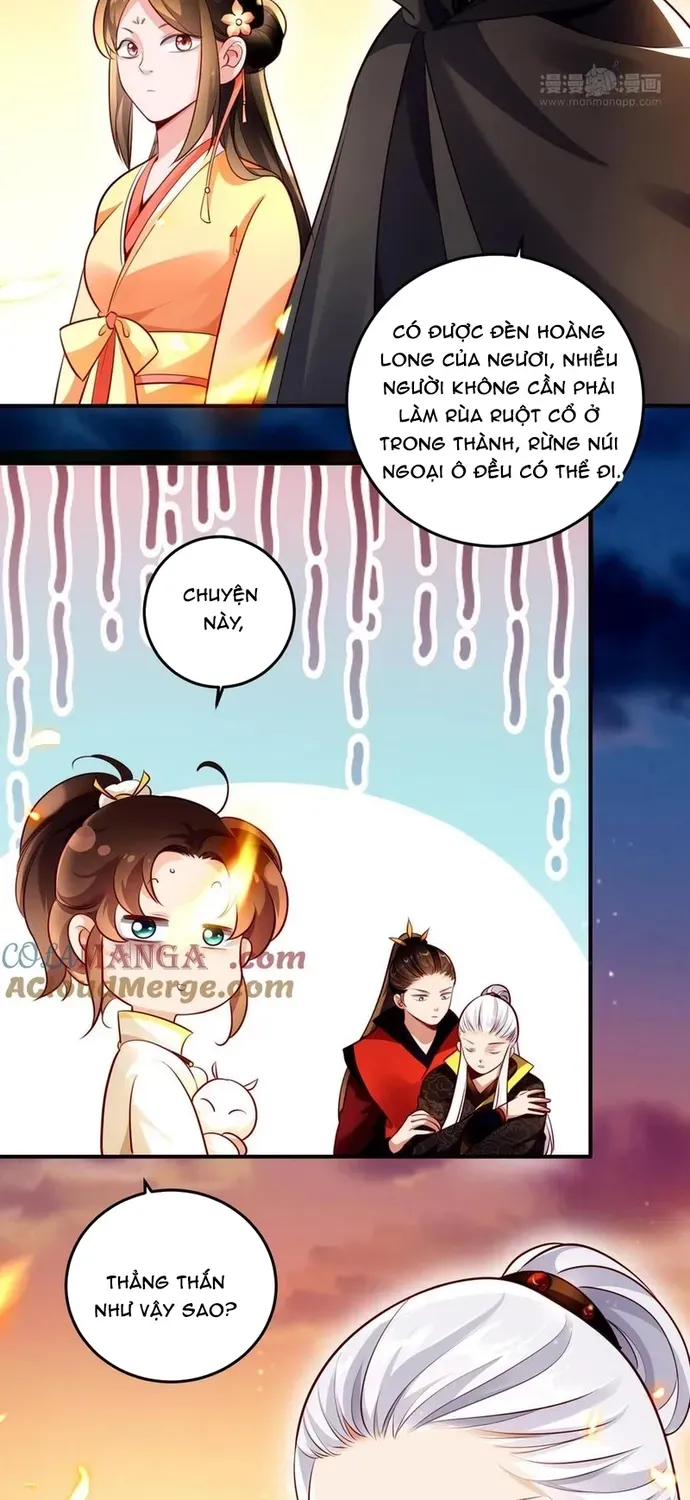 Ngàn Vàng Không Đổi Chapter 129 - 25