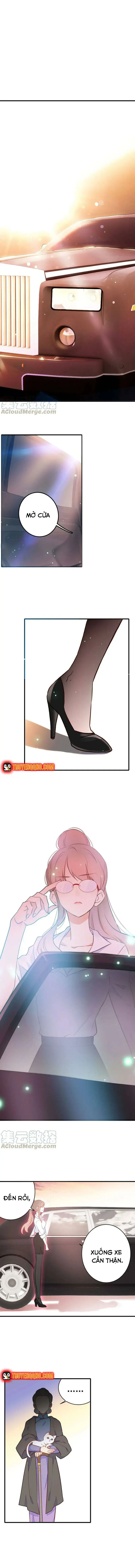 Xách Mèo Vào Ở Chapter 2 - 7