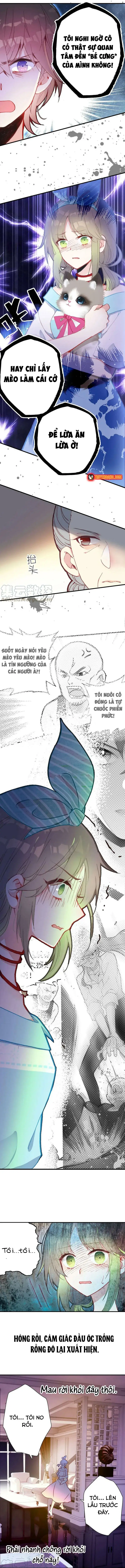 Xách Mèo Vào Ở Chapter 4 - 4