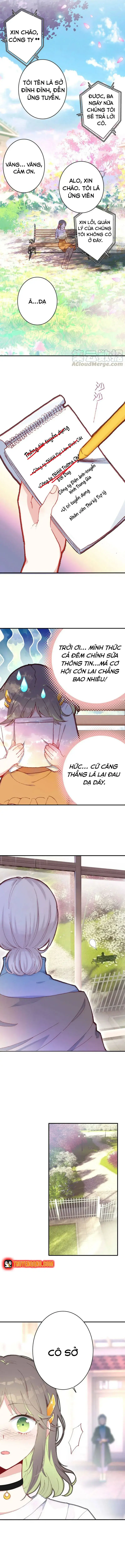 Xách Mèo Vào Ở Chapter 4 - 8