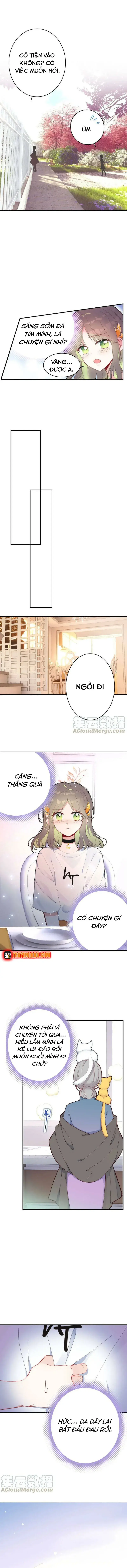 Xách Mèo Vào Ở Chapter 4 - 9