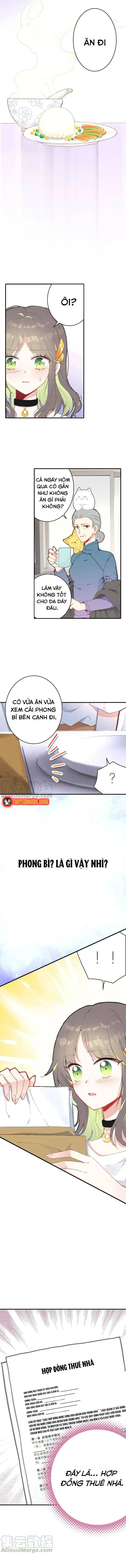 Xách Mèo Vào Ở Chapter 4 - 10