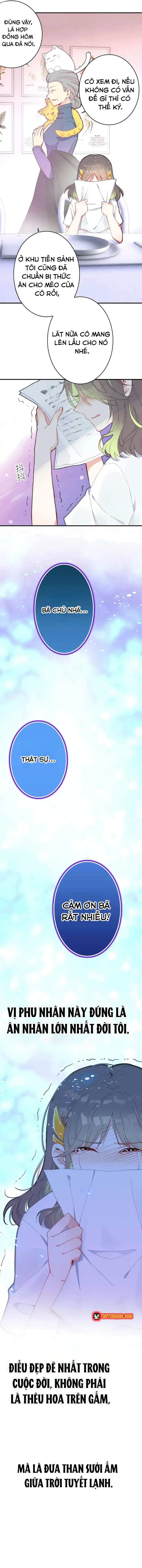 Xách Mèo Vào Ở Chapter 4 - 11