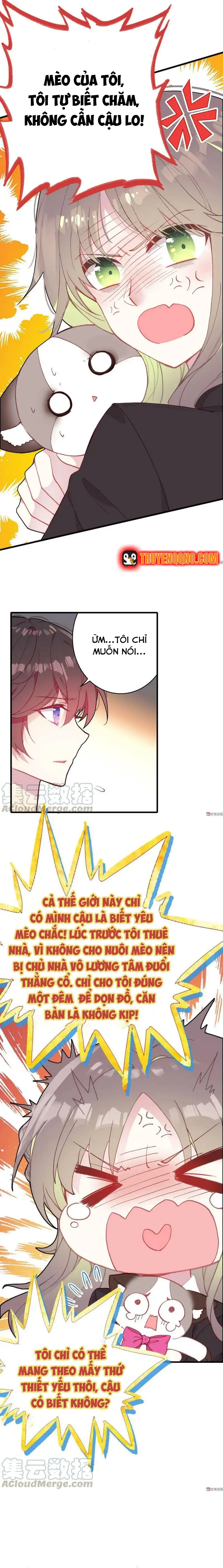 Xách Mèo Vào Ở Chapter 7 - 4