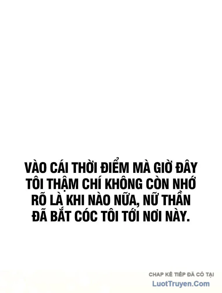 Chiến Lược Livestream Ẩn Giấu Của Kẻ Hồi Quy Chapter 1 - 43