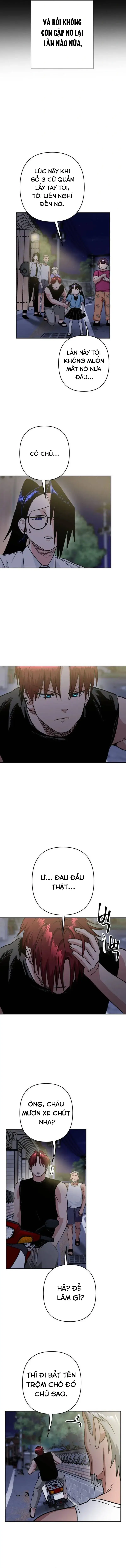 Tên Du Côn Và Tiểu Thư Xã Hội Đen Chapter 7 - 12