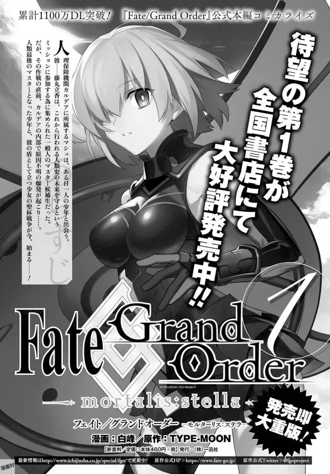 Fate/Grand Order -mortalis:stella- Chapter 5.2 - 30