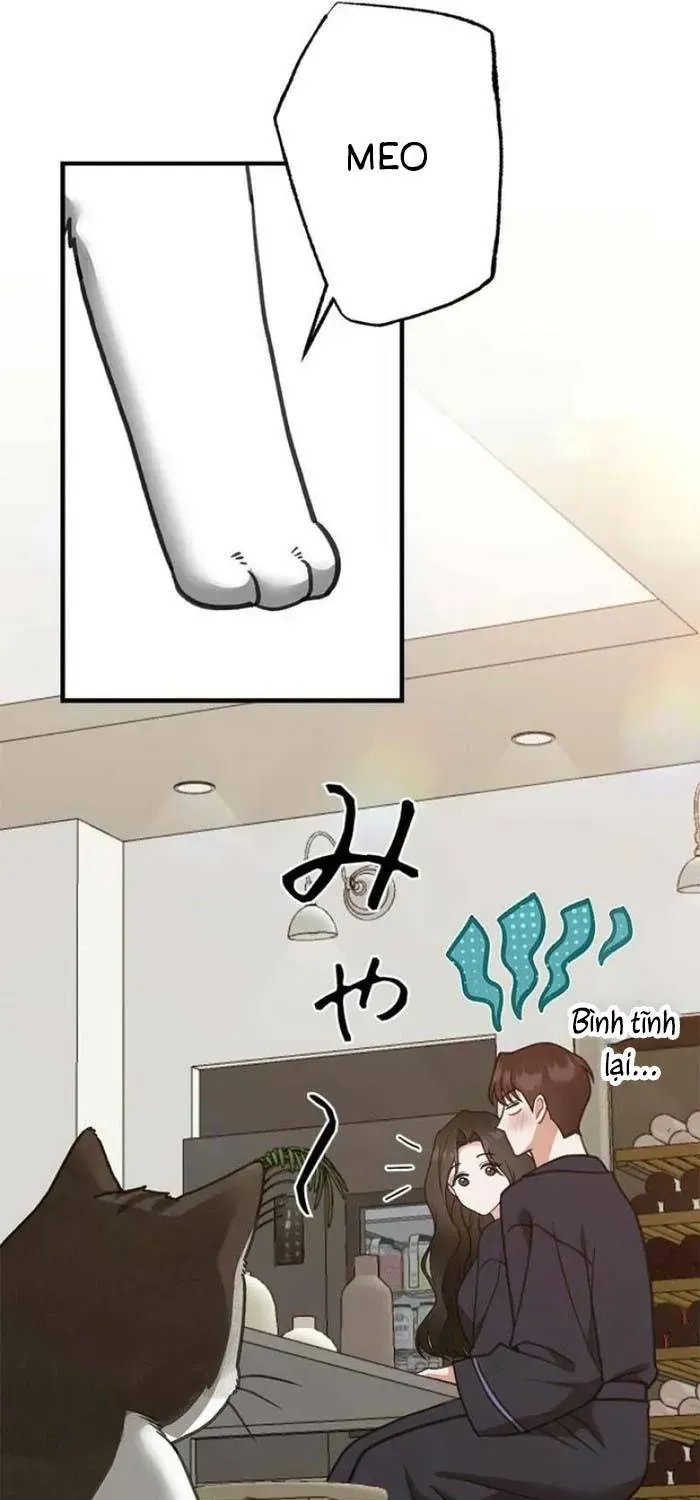 Lần Đầu Của Tổng Tài Chapter 38.1 - 44