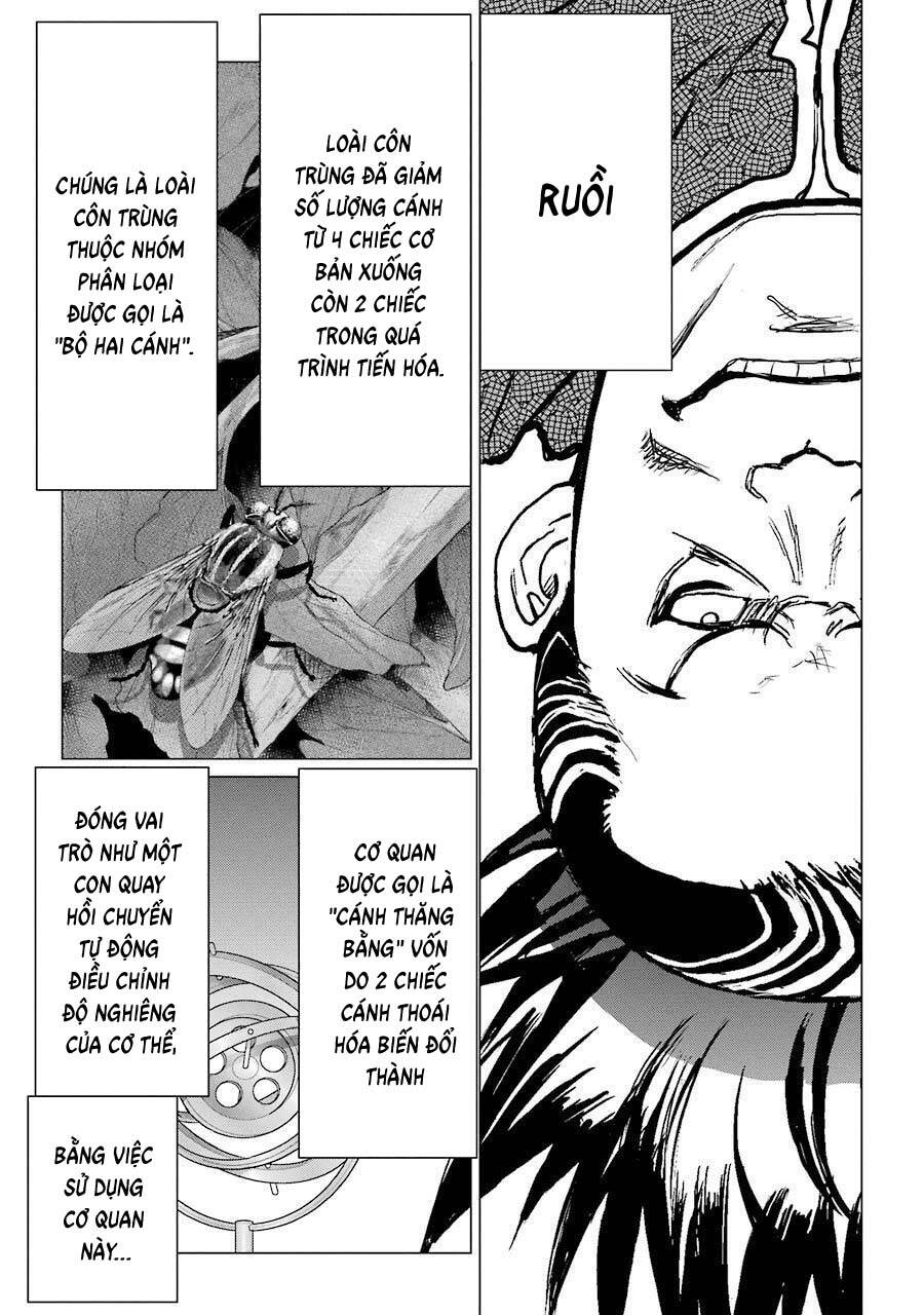 Châu Bùi no Shinobi Chapter 13 - 27
