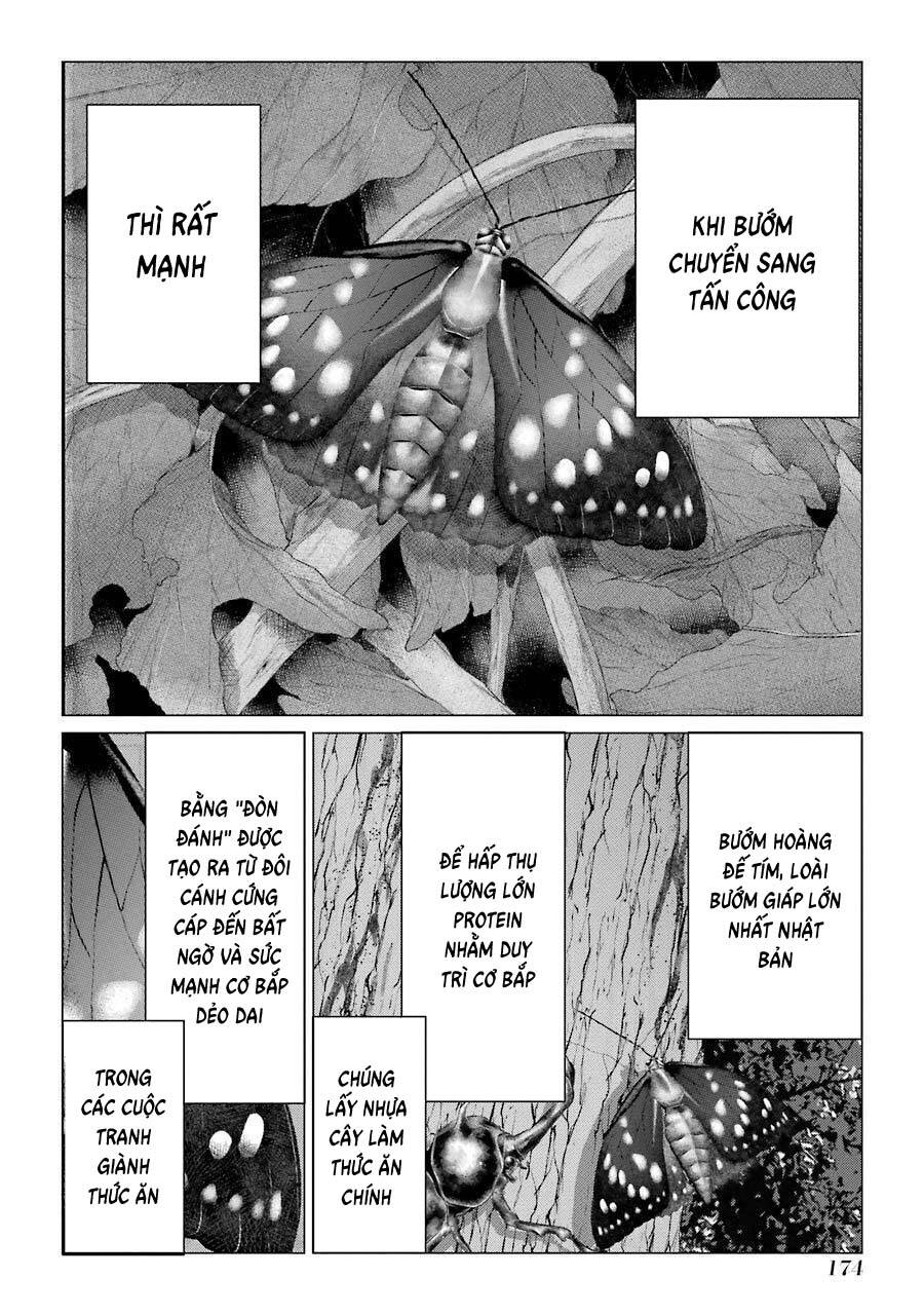 Châu Bùi no Shinobi Chapter 14 - 16