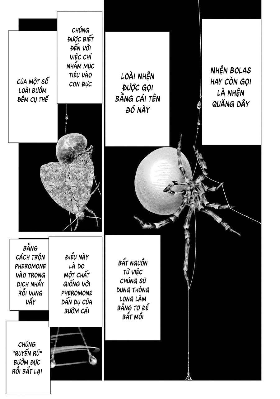Châu Bùi no Shinobi Chapter 15 - 21