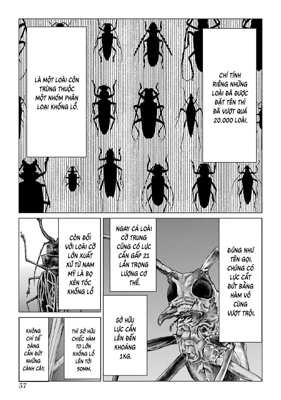 Châu Bùi no Shinobi Chapter 16 - 14