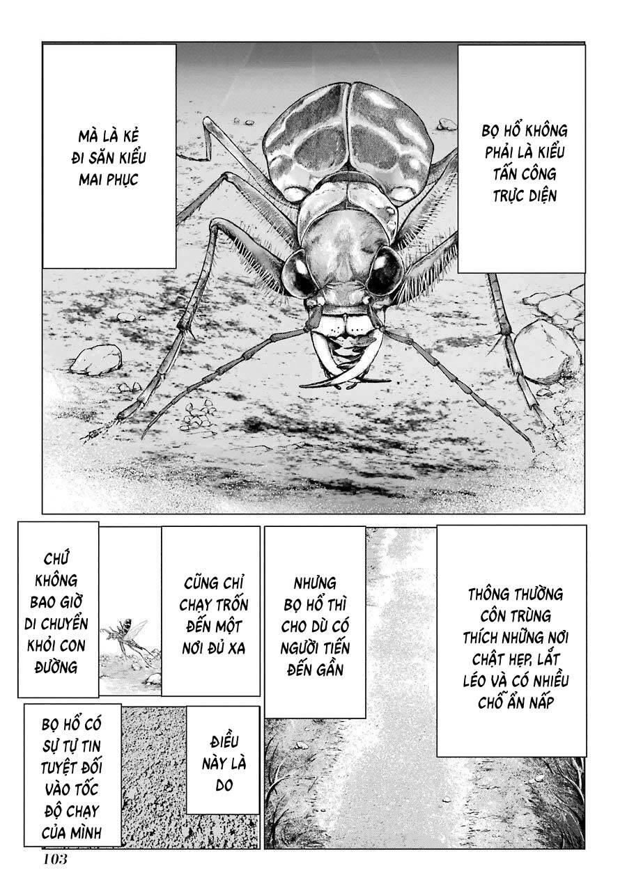 Châu Bùi no Shinobi Chapter 17 - 25