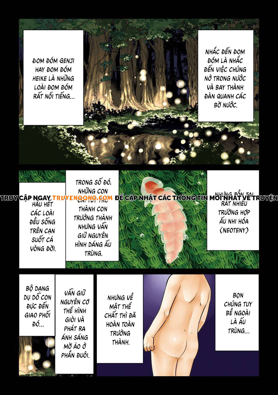 Châu Bùi no Shinobi Chapter 18 - 2