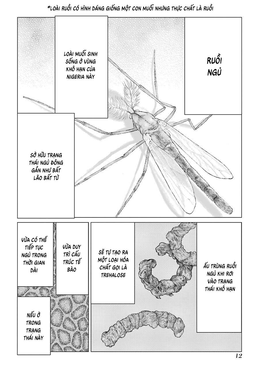 Châu Bùi no Shinobi Chapter 21 - 12
