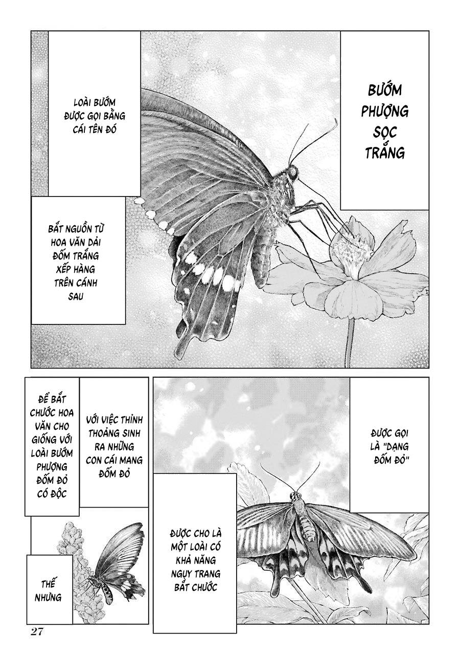 Châu Bùi no Shinobi Chapter 21 - 26