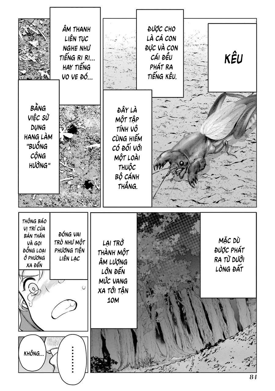 Châu Bùi no Shinobi Chapter 22 - 34