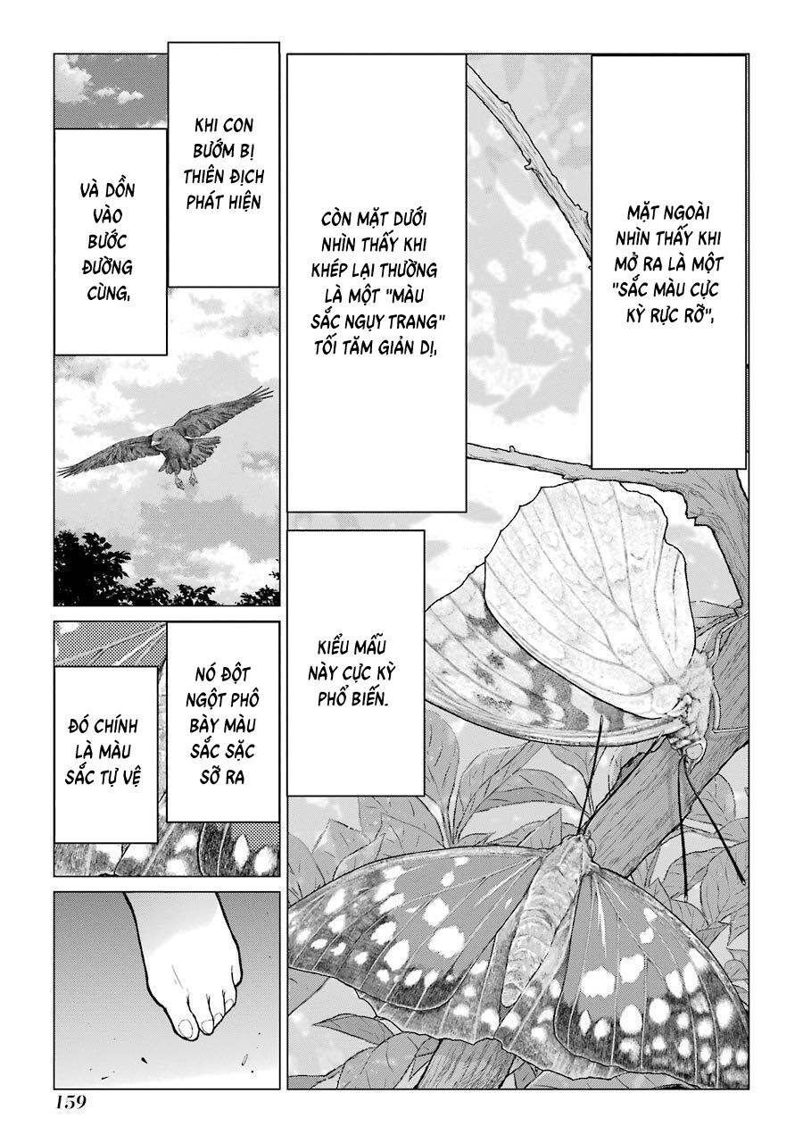 Châu Bùi no Shinobi Chapter 24 - 20