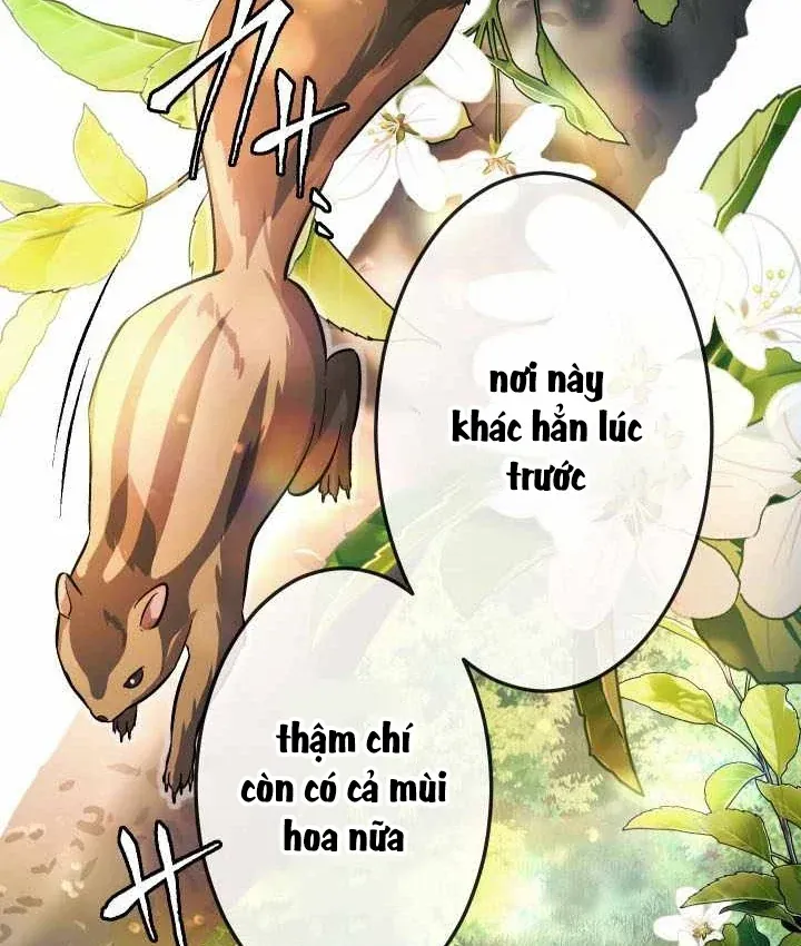 Thần Nhãn Ma Pháp Sư Chapter 19 - 107