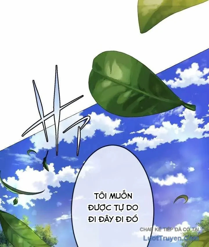 Thần Nhãn Ma Pháp Sư Chapter 19 - 54