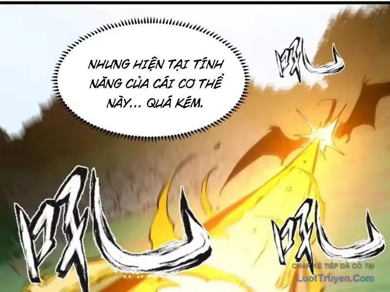 Trùng Sinh Chi Siêu Cấp Chiến Thần Chapter 17 - 110