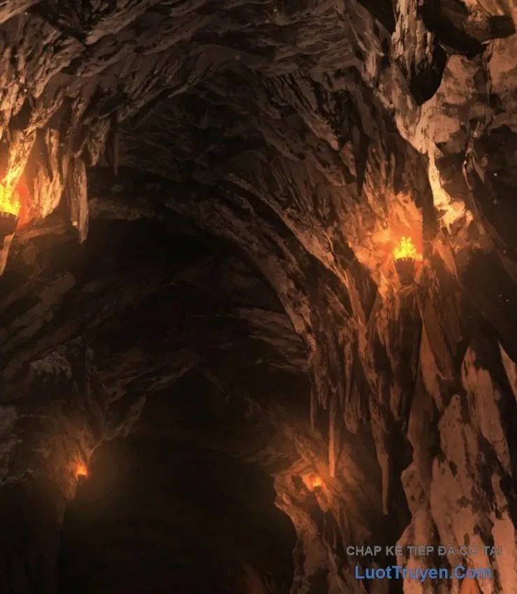 Sự Trở Lại Của Thiên Tài Ranker Chapter 11 - 24